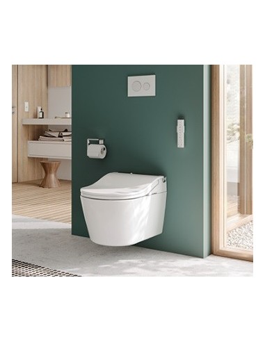 Pack: Cuvette susp. RP + Abattant...