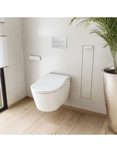 Pack: Cuvette susp. RP + Abattant...