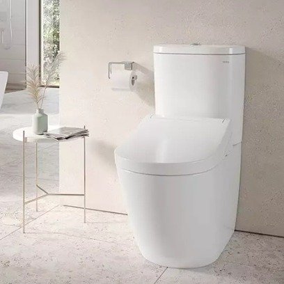 WC posé au sol NC Toto